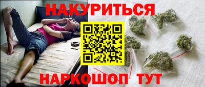 ешки Кингисепп