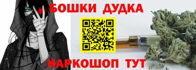 ешки Кингисепп